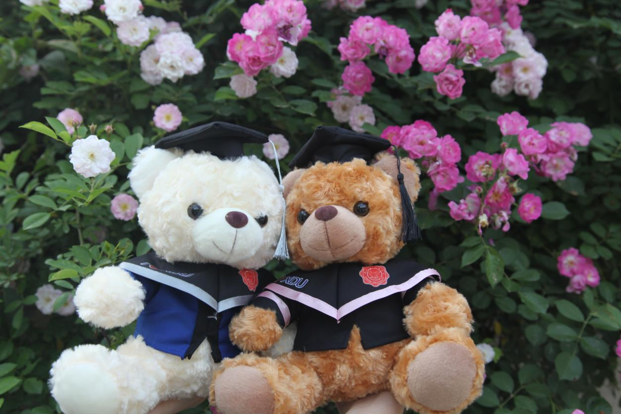 遙寄青云志，奔赴新征途|1931文創(chuàng)畢業(yè)季活動(dòng)火熱開啟